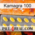 Kamagra 100 new05